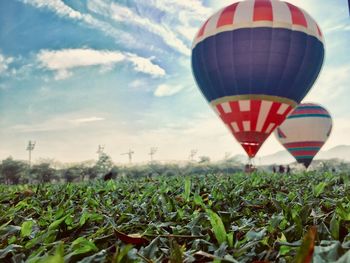 Hot air balloons on field against sky