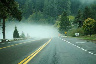 Road amidst trees against mountains