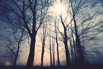 Low angle view of silhouette bare trees against sky