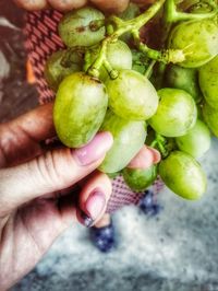 Cropped image of person holding fruits