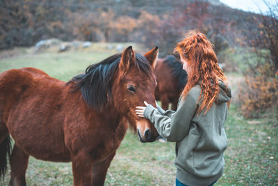 Horses on field