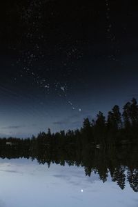 Silhouette trees by lake against sky at night