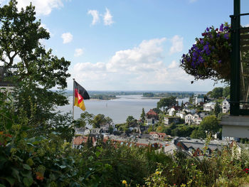 Scenic view of sea surrounded by trees against sky