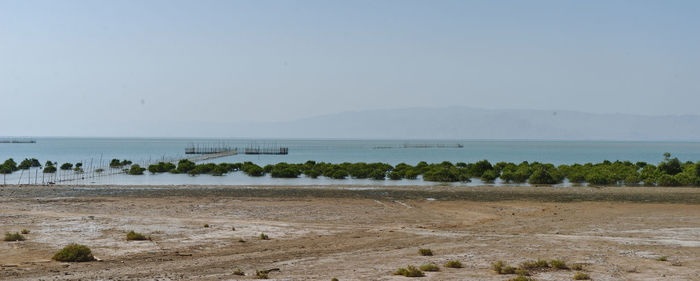 Scenic view of beach against clear sky