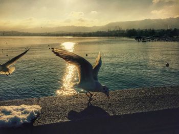 View of sea at sunset