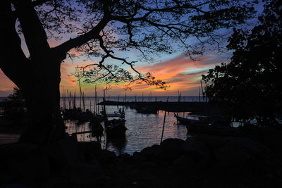 Silhouette trees by lake against sky during sunset