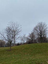 Bare trees on field against clear sky