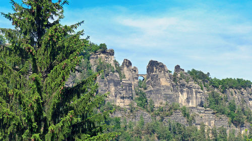 Trees against of elbsandstein mountains