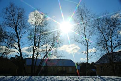 Bare trees against sky during winter