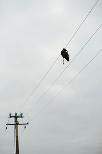 Low angle view of insect on cable against sky