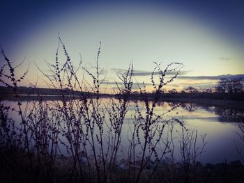 Scenic view of lake at sunset