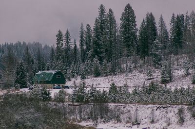 Snow covered landscape