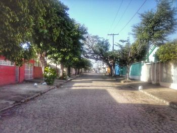 Empty road along trees