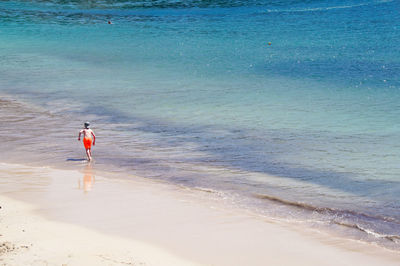 Rear view of person on beach