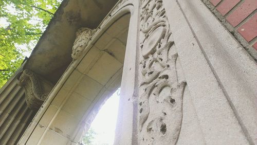 Low angle view of trees