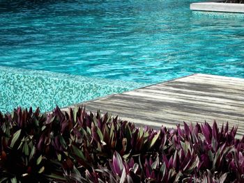 High angle view of swimming pool by sea