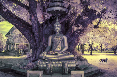 Statue of buddha against trees