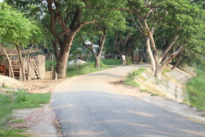 Empty road amidst trees in city