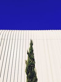 Low angle view of tall building against blue sky