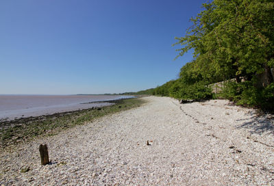 Scenic view of sea against clear blue sky