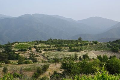 Scenic view of field and mountains against sky