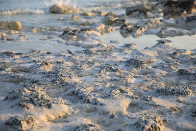 High angle view of wet beach