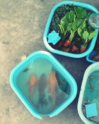 High angle view of vegetables in bowl on table