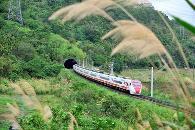 Train on railroad track