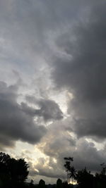 Low angle view of trees against cloudy sky