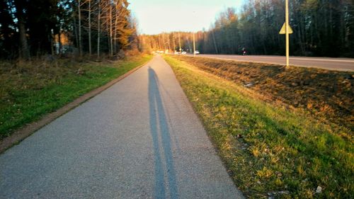 Empty road along trees