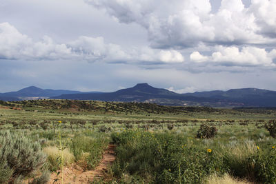 Scenic view of green landscape against cloudy sky