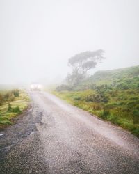 Road amidst trees on field against sky