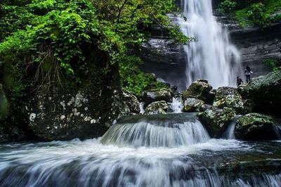 Scenic view of waterfall in forest