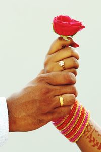 Close-up of hand holding red rose against white background