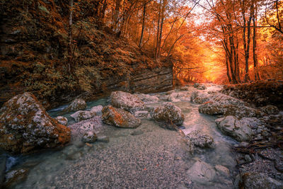 Stream flowing through rocks in forest during autumn