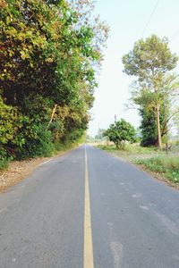 Empty road along trees