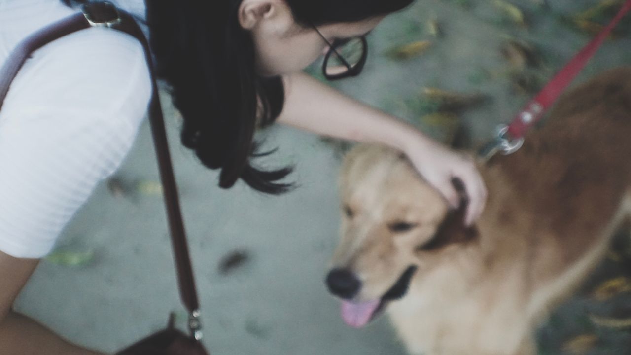 MIDSECTION OF WOMAN WITH DOG AND DOGS