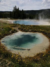 Artemisia geyser, yellowstone national park, wyoming, usa