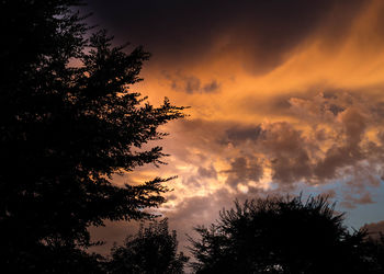 Low angle view of silhouette tree against orange sky