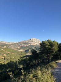 Scenic view of landscape against clear blue sky