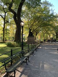 Street light by trees in park