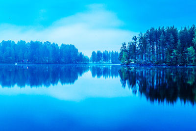 Reflection of trees in calm lake