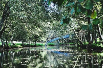 Scenic view of lake by trees