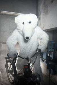 Portrait of white bicycle