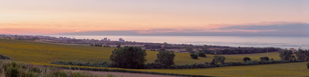 Scenic view of field against sky during sunset