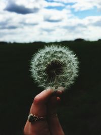 Close-up of hand holding dandelion against sky