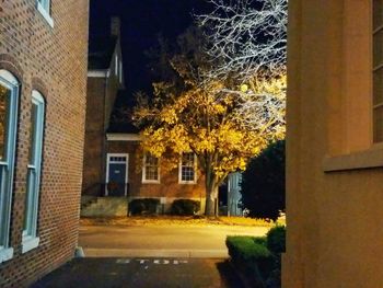 Trees by illuminated houses against sky at night