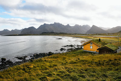 View of yellow wooden cabin with a grass roof at the beach and sea in moskenesoya lofoten norway