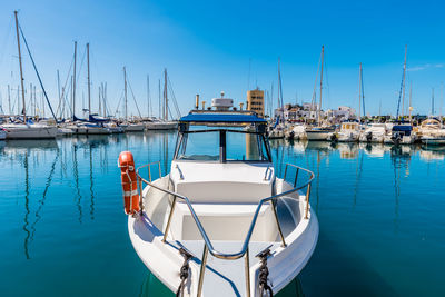 Sailboats moored in harbor