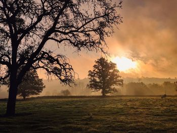 Scenic view of field against sky during sunset